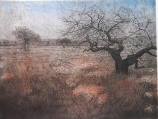 Appraisal: Adrian Van Suchtelen etching in colors Adrian Vansuchtelen American -