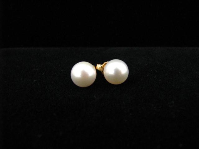 Appraisal: Pair of Mikimoto Blue Lagoon Pearl Stud Earrings to ''