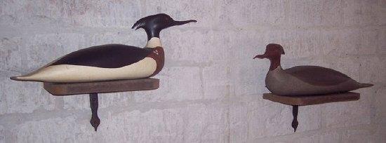 Appraisal: Michael LythgoeA pair of Merganser Duckscarved painted and mounted on