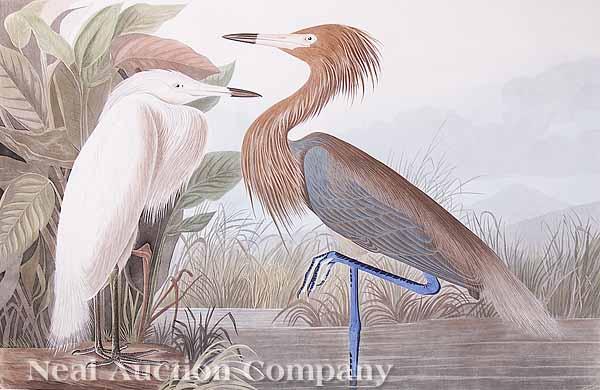 Appraisal: After John James Audubon American - Purple Heron or Reddish