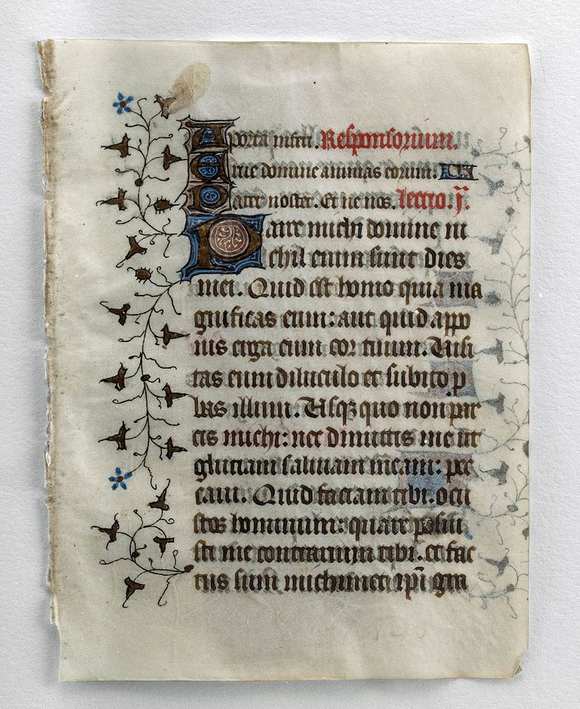 Appraisal: th C European Vellum Illuminated Manuscript Page Europe Renaissance ca