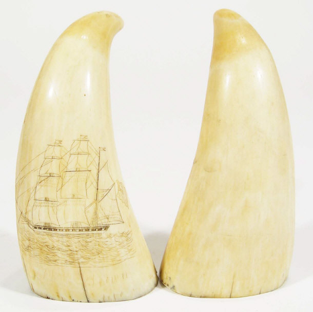 Appraisal: Two old ivory tusk one with scrimshaw decoration each cm