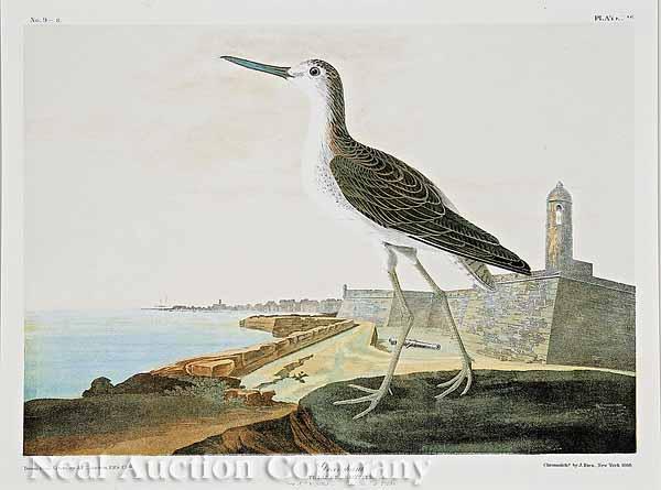 Appraisal: John James Audubon America - Green Shank View of St