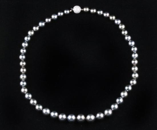 Appraisal: GRADUATED TAHITIAN BLACK PEARL NECKLACE pearls graduating from to mm