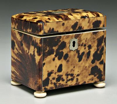 Appraisal: Tortoise tea caddy rectangular with fine tortoise panels above compressed