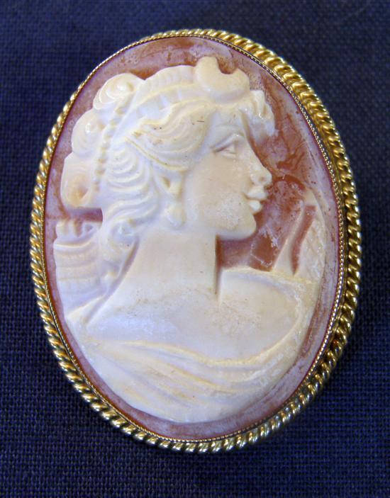 Appraisal: Cameo brooch on ct gold mount