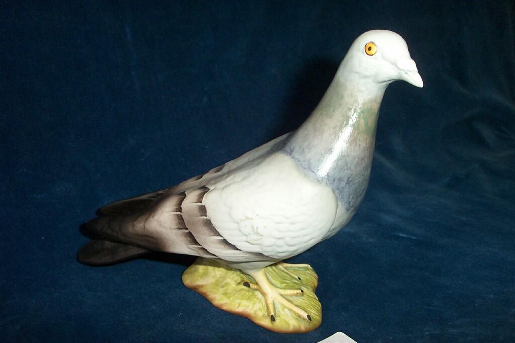 Appraisal: A Beswick bisque model of a grey pigeon impressed number