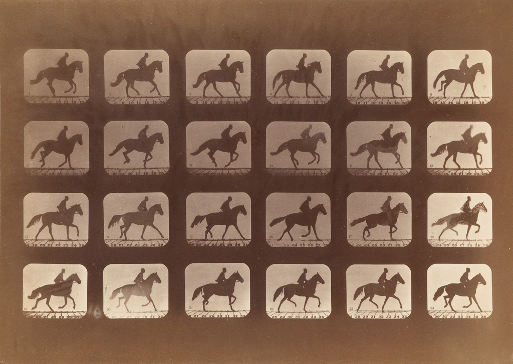 Appraisal: MUYBRIDGE EADWEARD - Horse and rider motion study composite Albumen