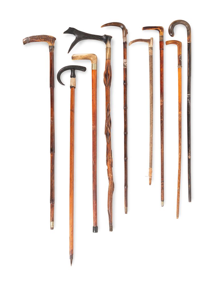 Appraisal: Nine Horn-Mounted Canes and Walking Sticks Nine Horn-Mounted Canes and