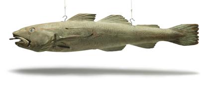 Appraisal: Carved trade sign in the form of a cod fish