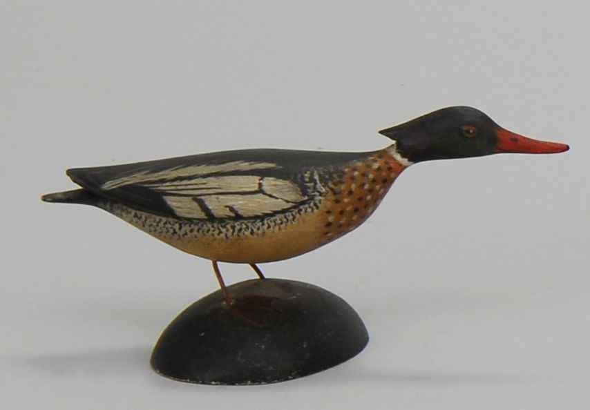 Appraisal: MINIATURE RED-BREASTED MERGANSER DRAKEBy A E Crowell of East Harwich