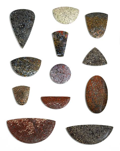 Appraisal: Natural History and Gemstones A collection of Dinosaur bone cabochons