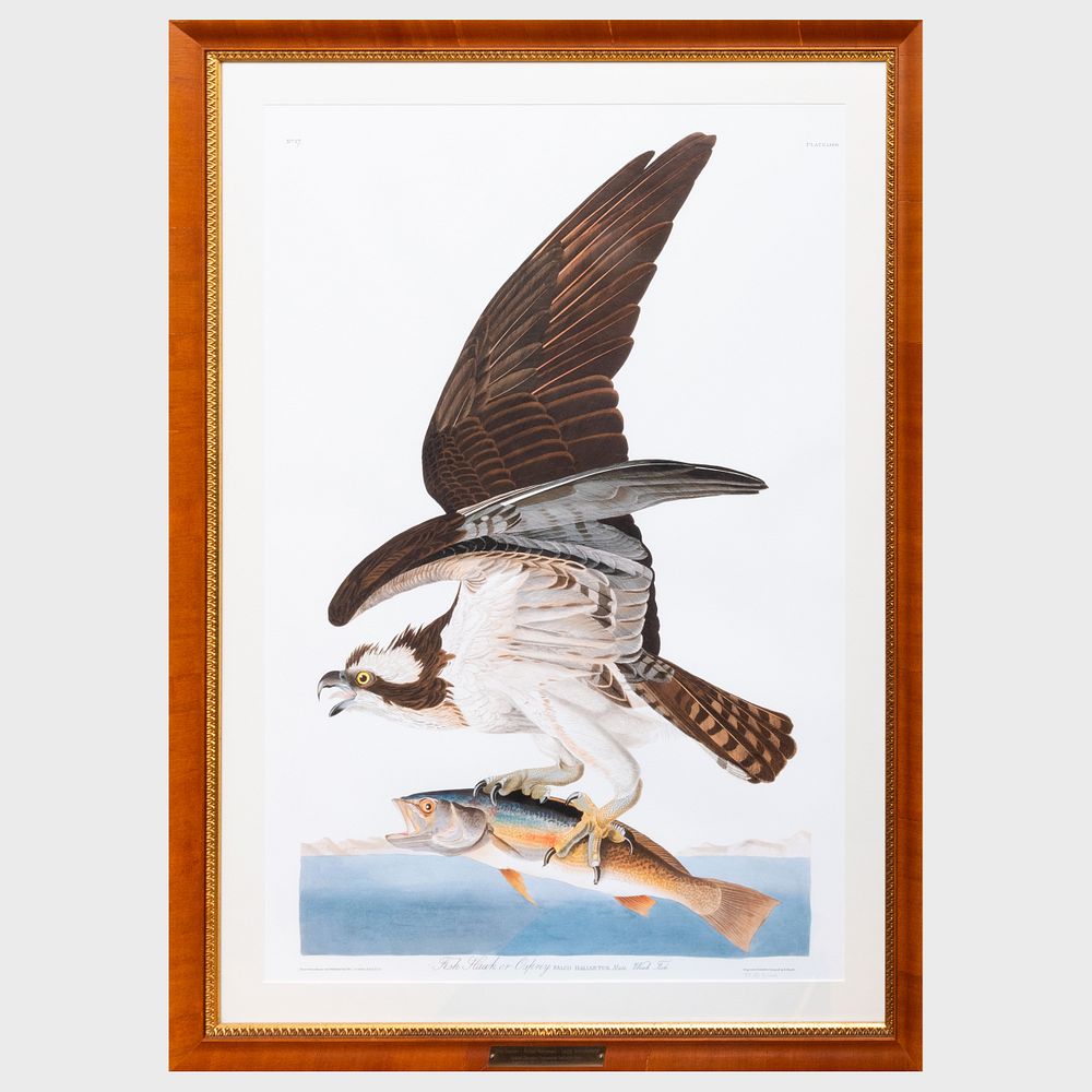 Appraisal: After John James Audubon - Fish Hawk or Ospry Reproduction