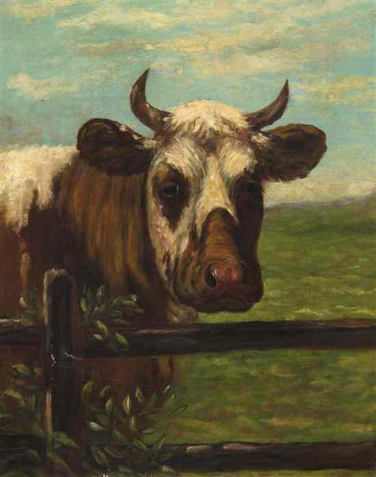 Appraisal: Artist Unknown th century Cow oil on canvas x inches