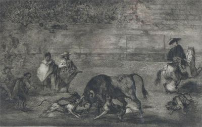 Appraisal: After Francisco de Goya The Bull Fight Etching x cm