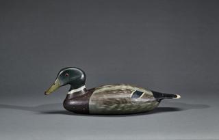 Appraisal: Rare Mallard Drake Harvey Stevens Rare Mallard DrakeHarvey Stevens -