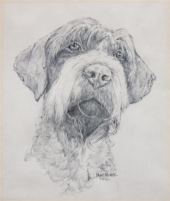 Appraisal: A Head Study of a Wirehaired Pointing Griffon x inches