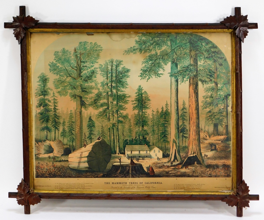 Appraisal: TIMES STEAM JOB MAMMOTH TREES OF CALIFORNIA PRINT United States