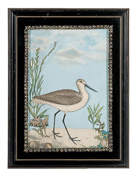 Appraisal: VICTORIAN CUT-OUT DIORAMA OF A SANDPIPER American late th century