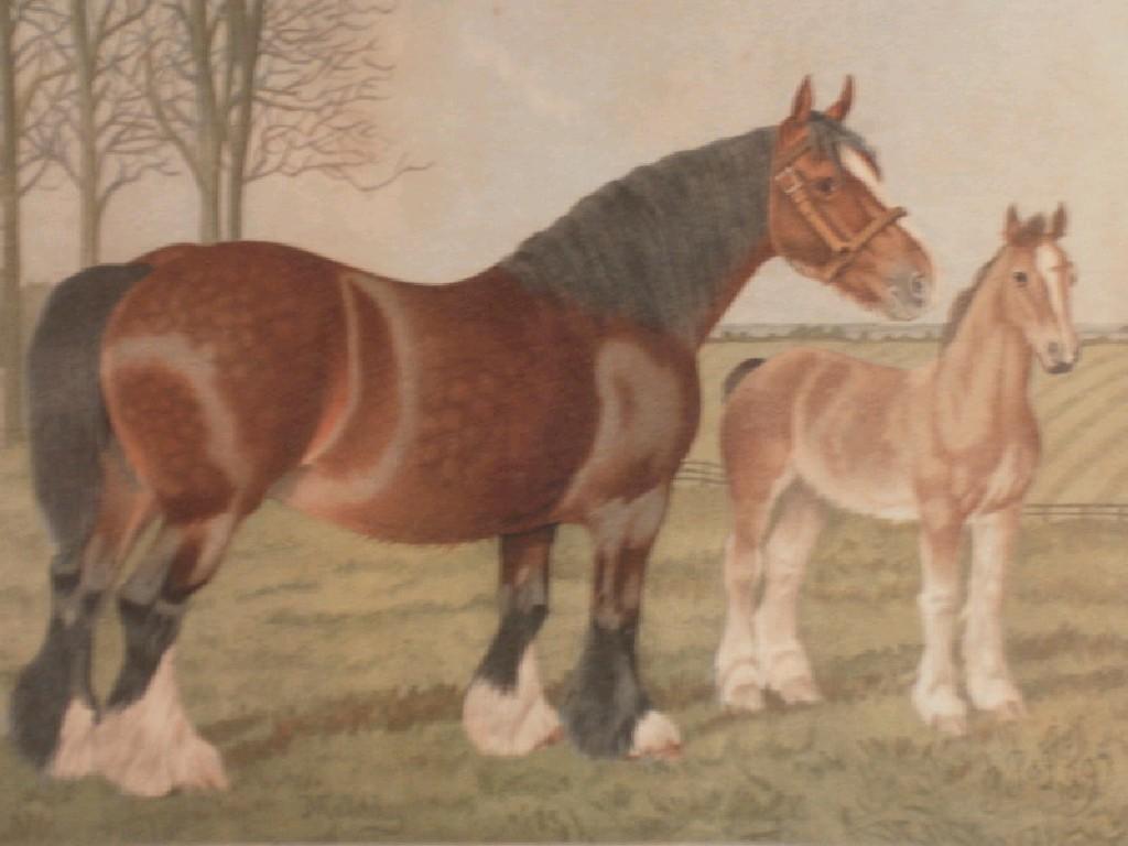 Appraisal: After Palfrey Five equestrian colour lithographs by Riddle and Couchman