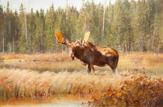 Appraisal: Carl Clemens Moritz Rungius - Bull Moose signed C Rungius