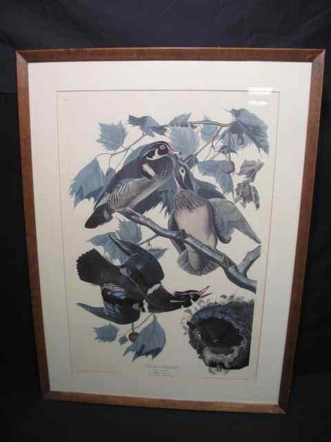 Appraisal: Later th century reproduction Audubon offset lithographic print Titled ''Summer