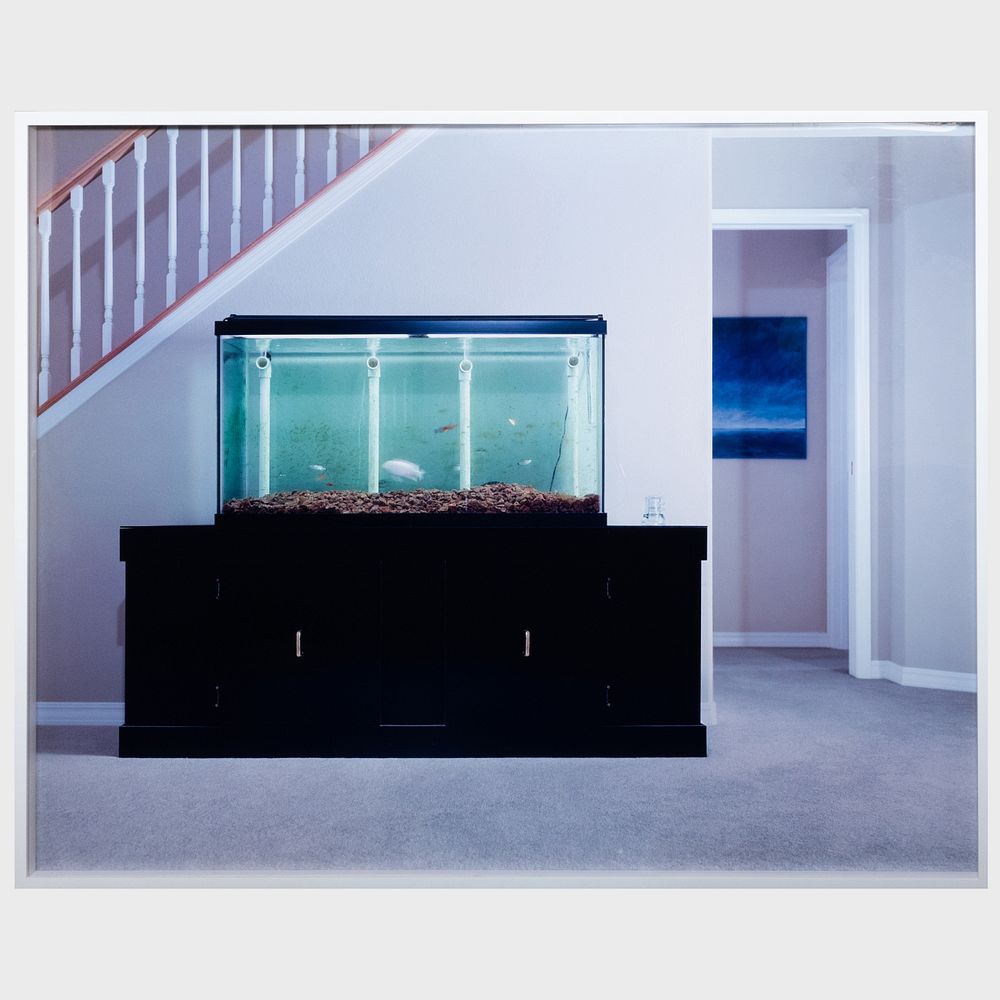 Appraisal: Angela Strassheim b Fish Tank Chromogenic print number of with