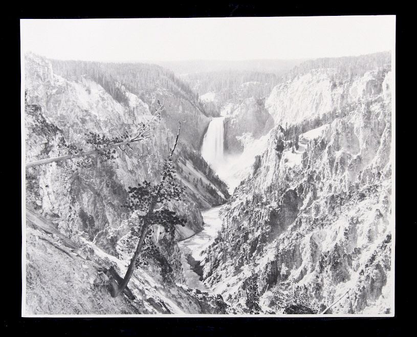 Appraisal: Original Haynes Yellowstone Park Photograph - This is an original