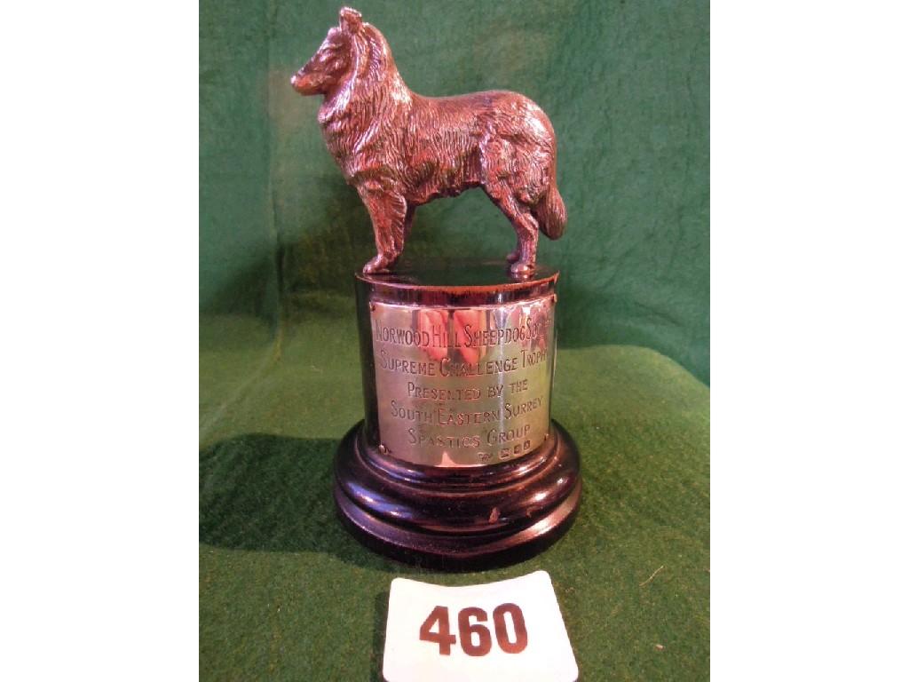 Appraisal: A silver plated trophy of a mounted collie sheepdog with