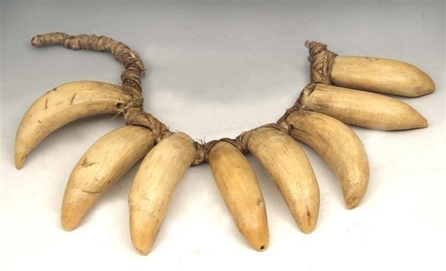 Appraisal: AN ETHNOGRAPHIC WHALES TOOTH NECKLACE the eight teeth bound together