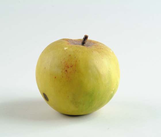 Appraisal: OVERSIZED STONE APPLE Yellow green apple has twig stem with