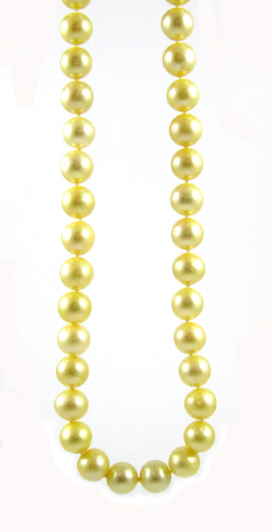 Appraisal: MATINEE LENGTH GOLDEN PEARL NECKLACE measuring - inches in length