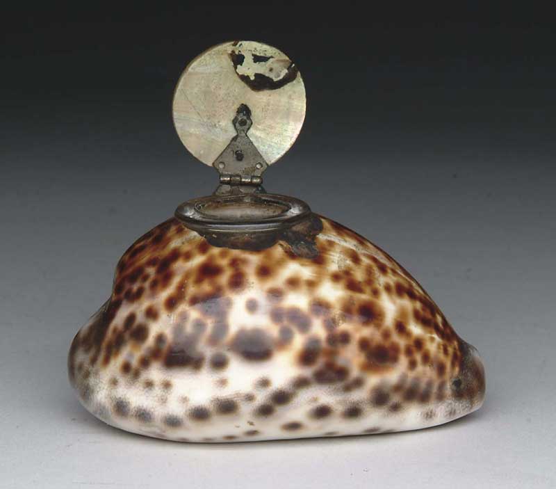 Appraisal: INTERESTING AND RARE COWRIE SHELL INKWELL Large shell has glass