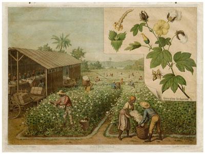 Appraisal: Cotton field print view of black figures working in a