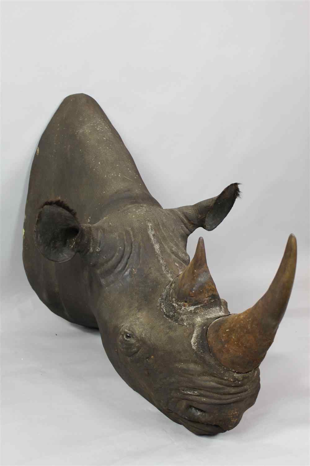 Appraisal: RHINOCEROS TWO HORN HEAD MOUNTED TROPHY mounted circa s This