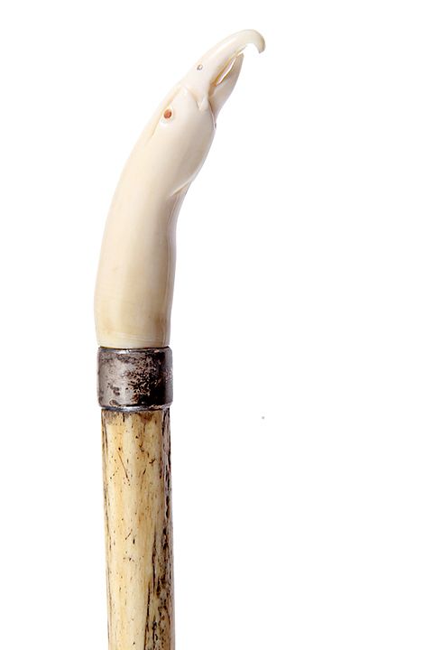 Appraisal: WHALE BONE CANE WHALE BONE CANE ca WHALE BONE SHAFT