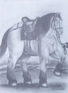 Appraisal: Fernando Botero Estudio Horse Graphite on Paper Fernando Botero Columbia