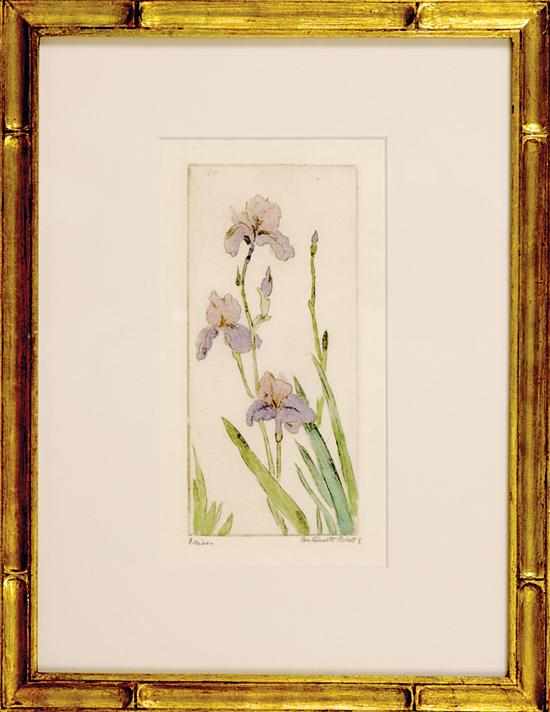 Appraisal: Antoinette Francesca Rhett South Carolina - IRISES colored etching framed