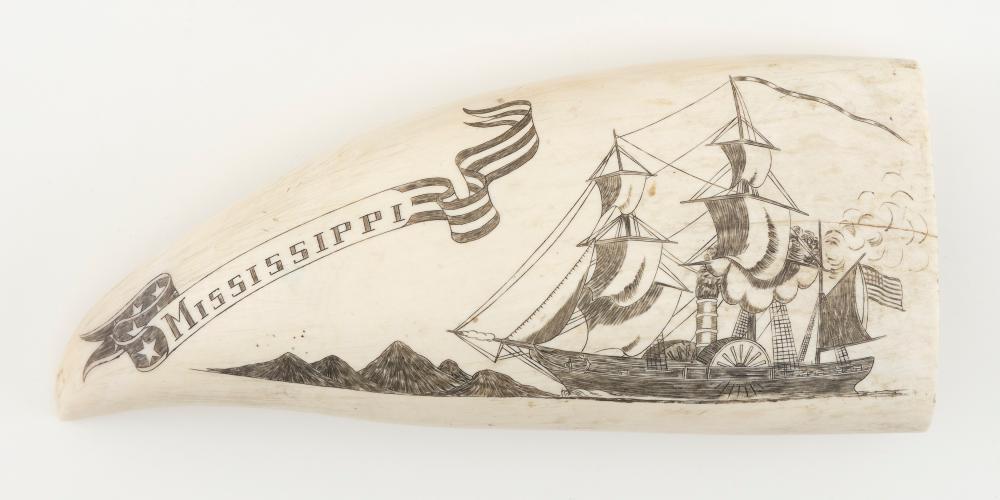 Appraisal: ENGRAVED WHALE'S TOOTH DEPICTING THE SIDEWHEEL STEAMER MISSISSIPPI TH CENTURY