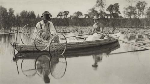 Appraisal: EMERSON PETER H - Setting the Bow-Net Platinum print x