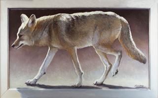 Appraisal: Coyote by Richard Murray Richard Murray - oil on board