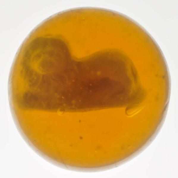 Appraisal: Honey Amber Lion Sulphide Marble Description Laying lion figure is