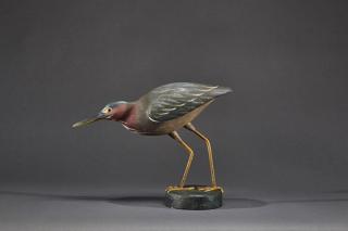 Appraisal: Green Heron Spencer Tinkham b Green HeronSpencer Tinkham b Norfolk