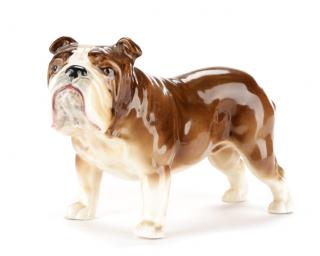 Appraisal: Finely Modeled English Porcelain Standing Bulldog A finely modeled English