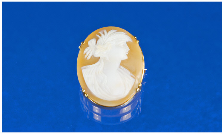 Appraisal: ct Gold Mounted Shell Cameo Brooch Profile Of A Classical