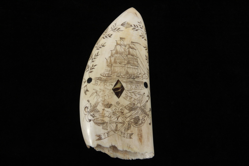 Appraisal: SCRIMSHAWN WHALES TOOTH - Bark Vespa John Bray with inlaid