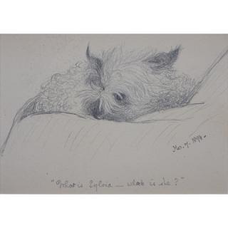 Appraisal: th Century American Pencil Drawing Small Dog Tilted What is