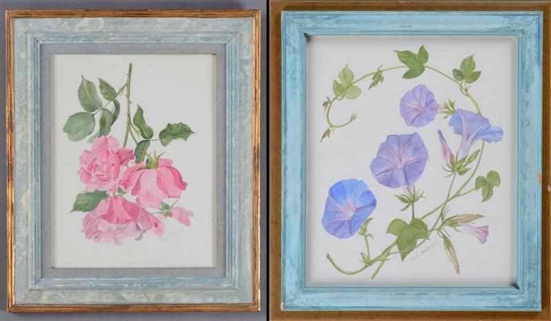 Appraisal: NICOLE HORNBY TH C MORNING GLORIES ROSES Two watercolors on