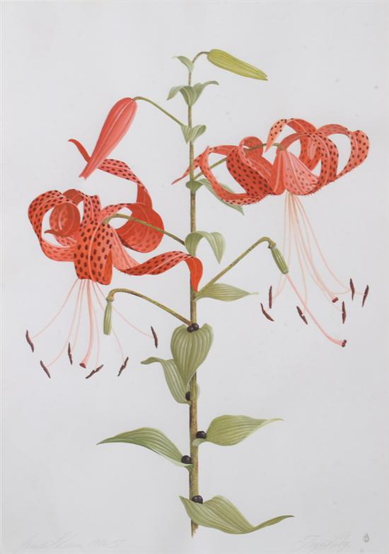 Appraisal: JAMES LINTON SAIN American b TIGER LILY signed and dated