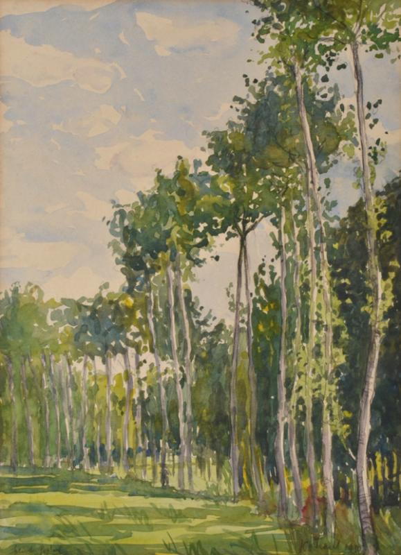 Appraisal: JESSIE TRAILL - French Poplars watercolour JESSIE TRAILL - French